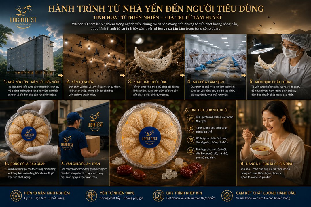Chân Yến Thô Thượng Hạng 100g - hình 1